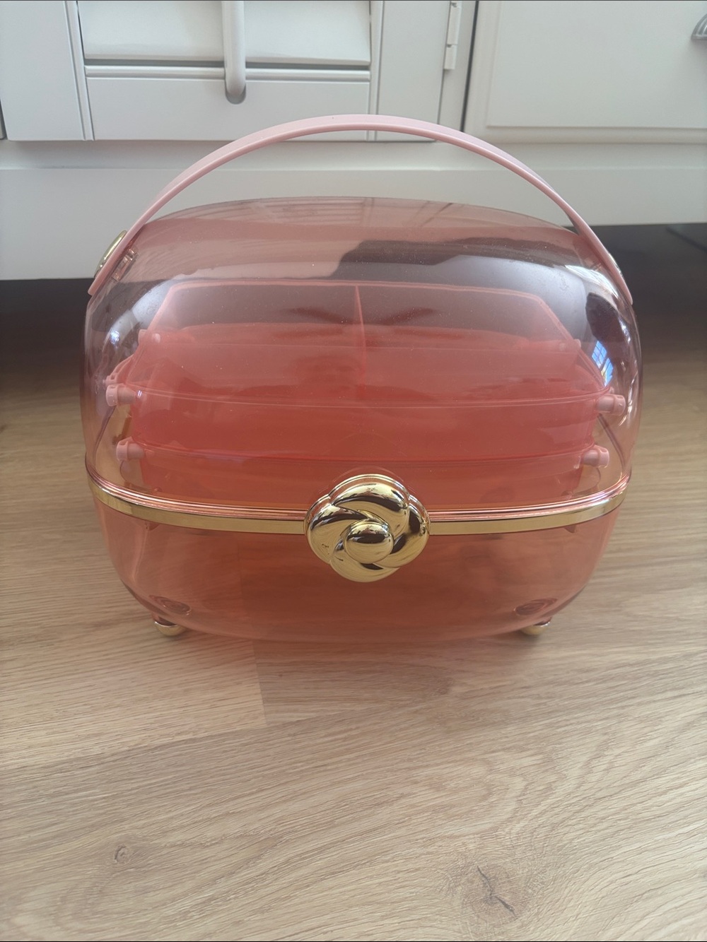 Clear Pink Cosmetic Train Case with Gold Accent